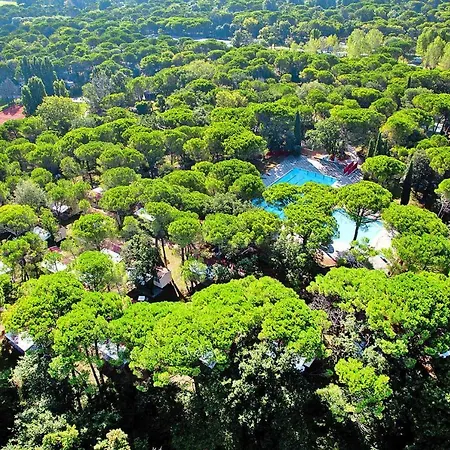 Holiday home Belvedere,